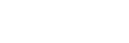 Mustard Seed IT