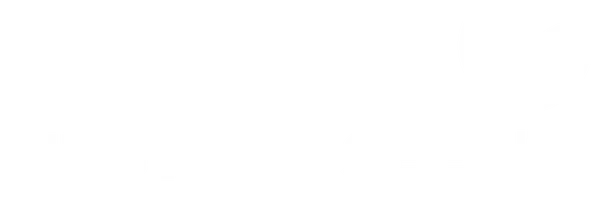 Mustard Seed IT